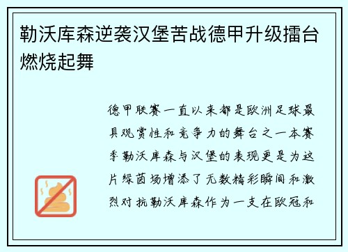 勒沃库森逆袭汉堡苦战德甲升级擂台燃烧起舞