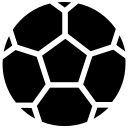 皮蝶研